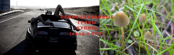 MDMA Михайловск